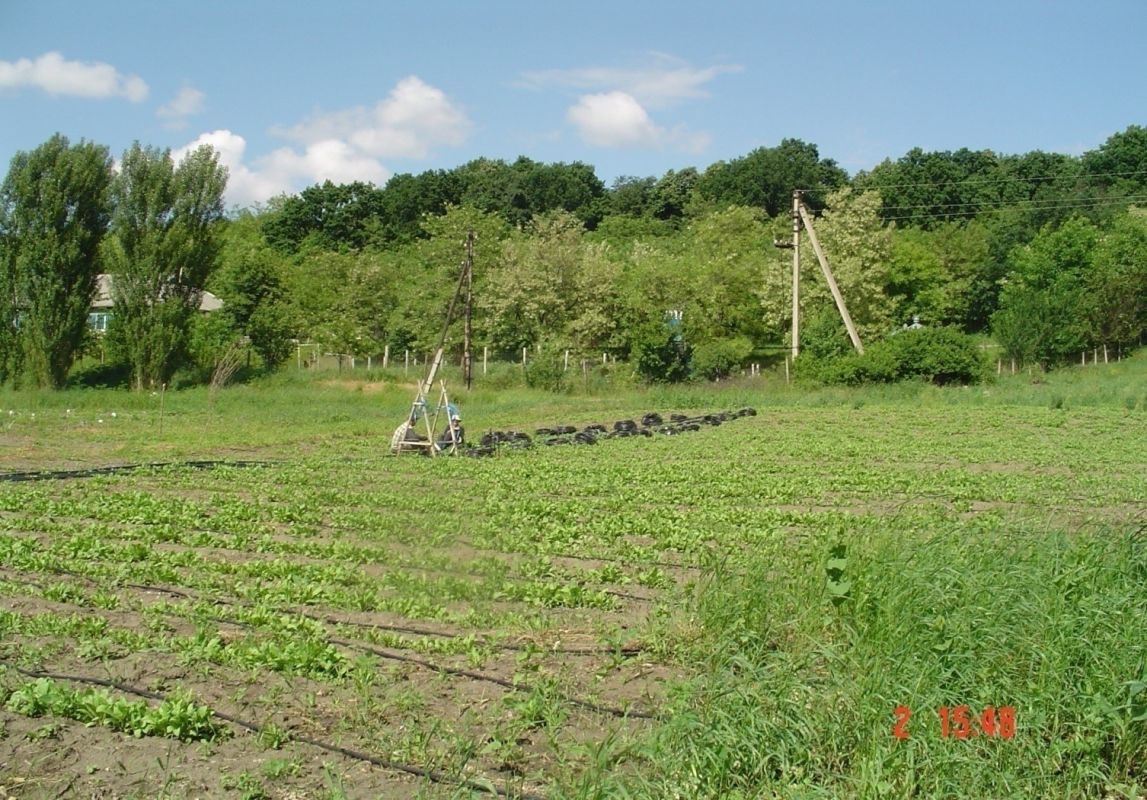 Drip irrigation system